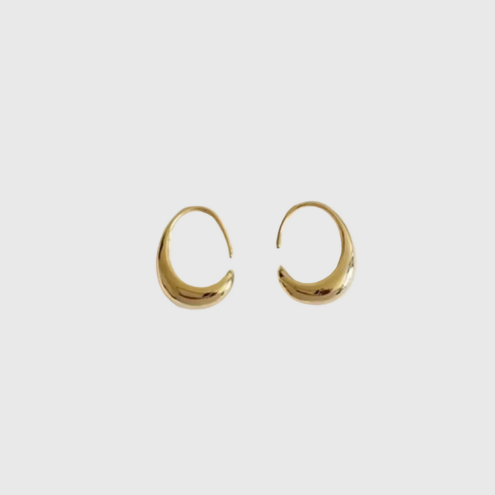 Elegant Earrings